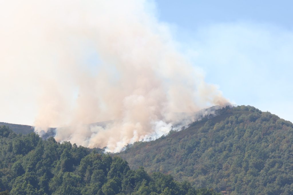 Asturias zona Afectada Gravemente por una Emergencia de Protección Civil (zonas catrastróficas por los incendios),  aprobada hoy por el Consejo de Ministros.