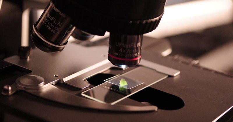 Asturias concede 1.17 millones en ayudas para incorporar personal investigador en veinte empresas Asturias concede 1.17 millones en ayudas para incorporar personal investigador en veinte empresas