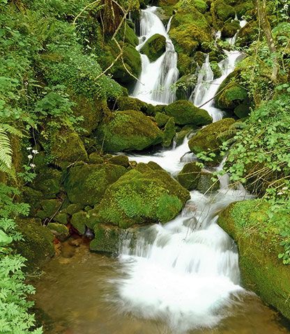 La Confederación Hidrográica del Cantábrico inicia labores de mantenimiento en los arroyos Grandiella y Rabucán en Riods La Confederación Hidrográica del Cantábrico inicia labores de mantenimiento en los arroyos Grandiella y Rabucán en Riods