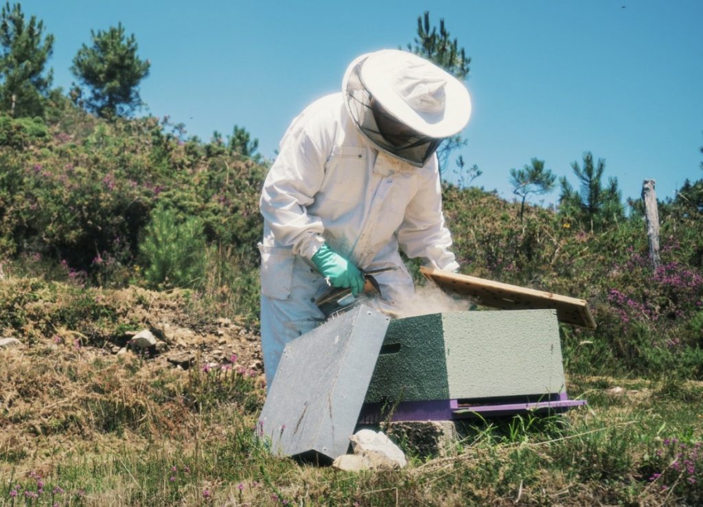 El Principado apoya con más de 450.000 euros al sector de la apicultura