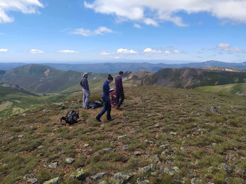 La Universidad de Oviedo identifica qué plantas alpinas tendrán más dificultades para regenerarse por el cambio climático