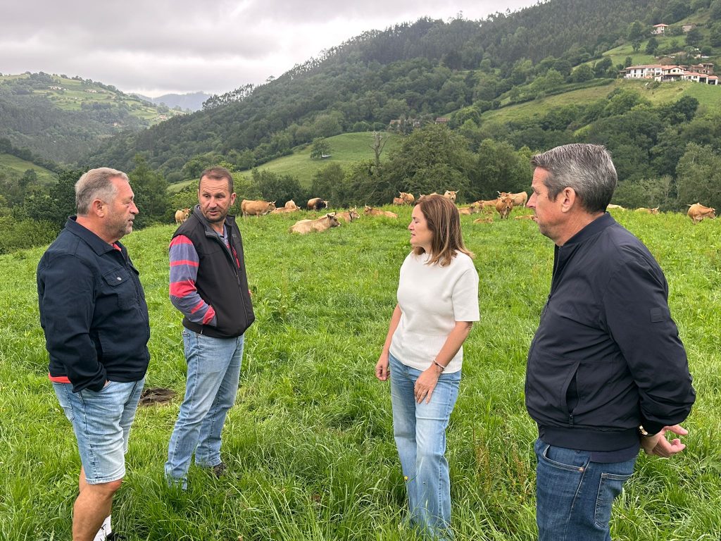 Medio Rural financia con 450.000 euros los servicios de asesoramiento técnico de 708 explotaciones agrarias