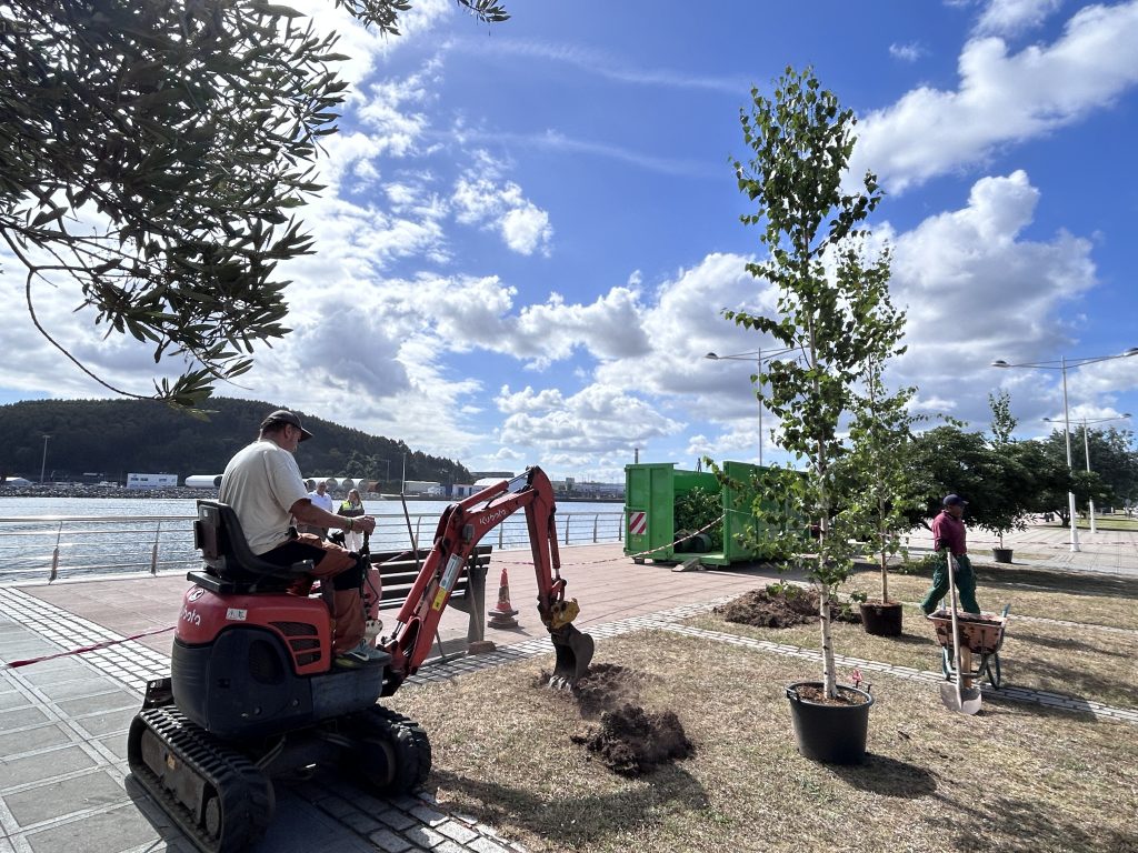 El Puerto de Avilés planta 56 nuevos árboles en el paseo Manuel Ponga El Puerto de Avilés planta 56 nuevos árboles en el paseo Manuel Ponga