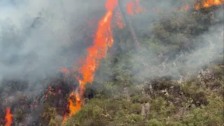 ACTIVADO EL INFOPA EN SITUACIÓN 1 POR UN INCENDIO EN GRADO ACTIVADO EL INFOPA EN SITUACIÓN 1 POR UN INCENDIO EN GRADO