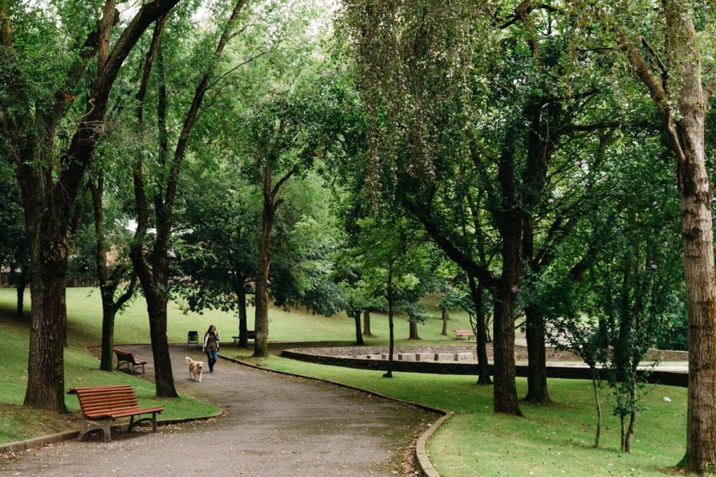 El Ayuntamiento mejorará y renaturalizará los caminos peatonales del parque de La Magdalena