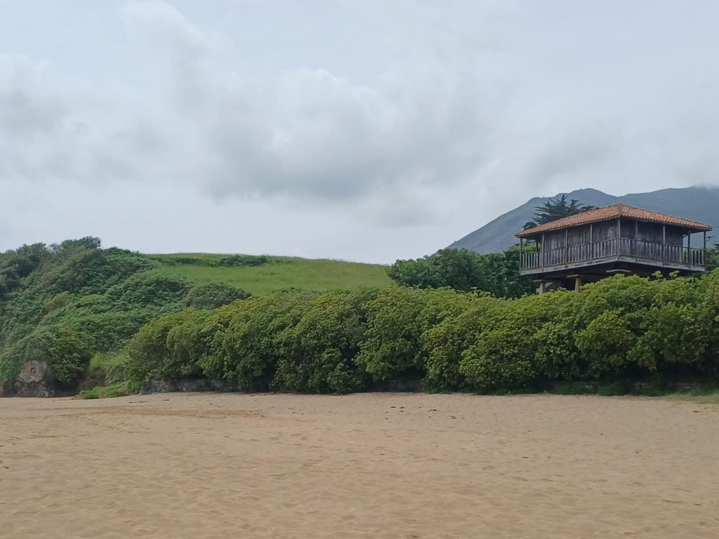 Se pretende autorizar la construcción de chalets en la zona del Barrigón en la playa de la Isla en Colunga, en una finca colindante con el mar, donde sorprendentemente se está autorizando una modificación puntual de las Normas Subsidiarias de Planeamiento a lo que hemos alegado, sobre una superficie de 20.398 m2, donde se pretende la construcción de 28 viviendas unifamiliares pegadas al mar. Se pretende autorizar la construcción de chalets en la zona del Barrigón en la playa de la Isla en Colunga, en una finca colindante con el mar, donde sorprendentemente se está autorizando una modificación puntual de las Normas Subsidiarias de Planeamiento a lo que hemos alegado, sobre una superficie de 20.398 m2, donde se pretende la construcción de 28 viviendas unifamiliares pegadas al mar.