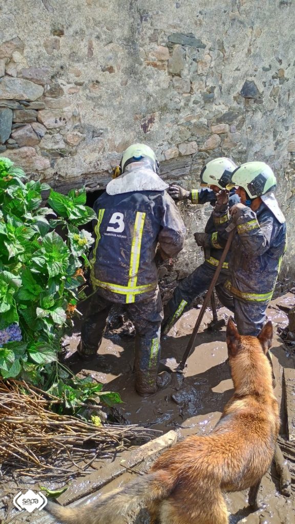 INUNDACION EN CANGAS DEL NARCEA CON ANIMALES FALLECIDOS