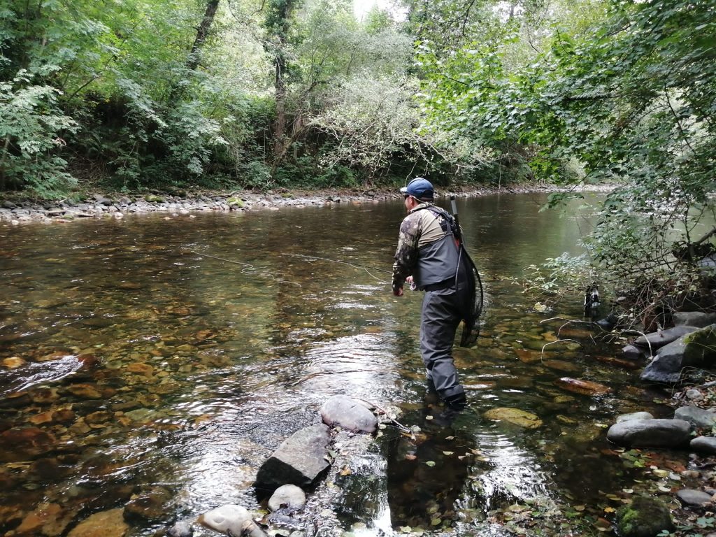 Medio Rural evaluará todos los indicadores científicos para adoptar las medidas adecuadas para garantizar la conservación del salmón Medio Rural evaluará todos los indicadores científicos para adoptar las medidas adecuadas para garantizar la conservación del salmón