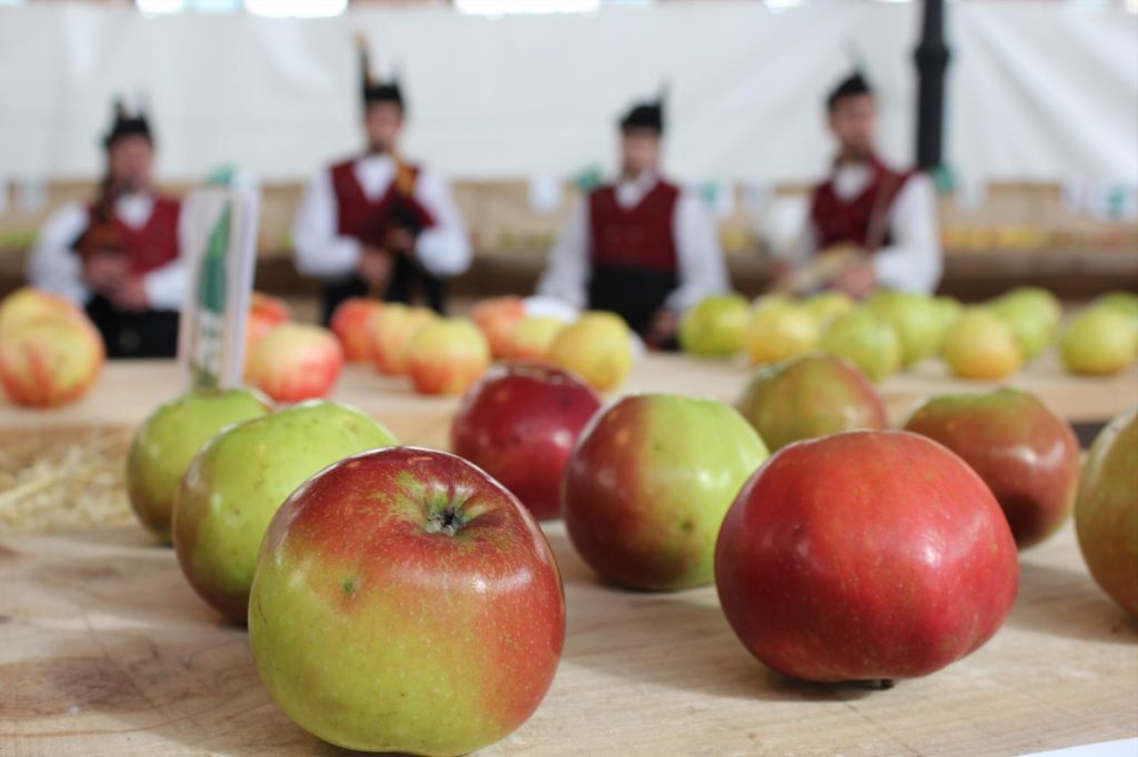 El Gobierno de Asturias celebra la declaración del Festival de la Manzana de Villaviciosa como Fiesta de Interés Turístico Nacional El Gobierno de Asturias celebra la declaración del Festival de la Manzana de Villaviciosa como Fiesta de Interés Turístico Nacional